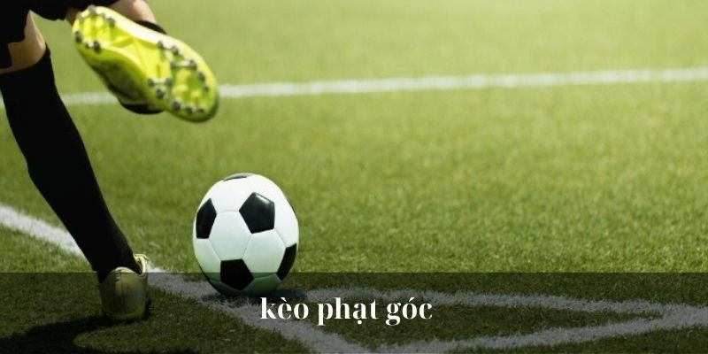 Soi Kèo Phạt Góc Dễ Thắng Với Mẹo Chơi Từ Chuyên Gia QQ88 3 Các mánh chơi kèo phạt hay từ cao thủ