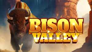 Bison Valley